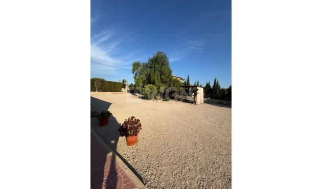 Resale - Villa - Albatera - Partida Lomas