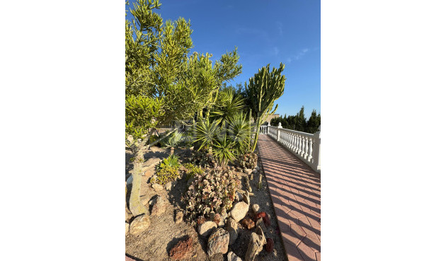 Resale - Villa - Albatera - Partida Lomas