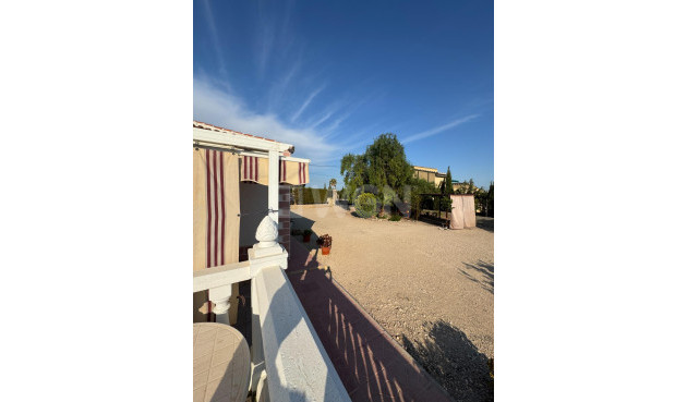Resale - Villa - Albatera - Partida Lomas