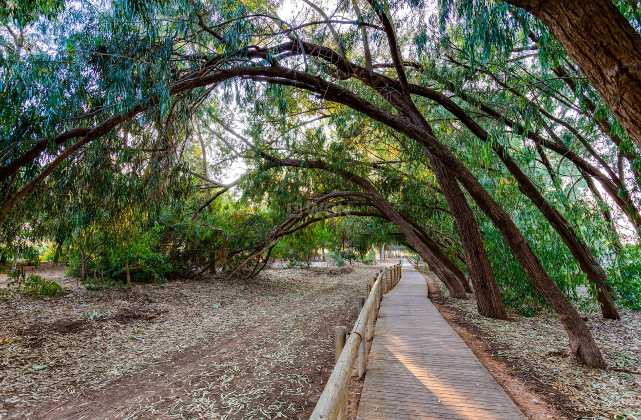 Wiederverkauf - Villa - Torrevieja - Costa Blanca