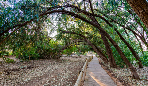 Wiederverkauf - Villa - Torrevieja - Costa Blanca