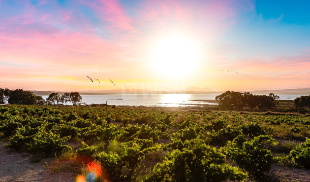 Wiederverkauf - Villa - Torrevieja - Costa Blanca