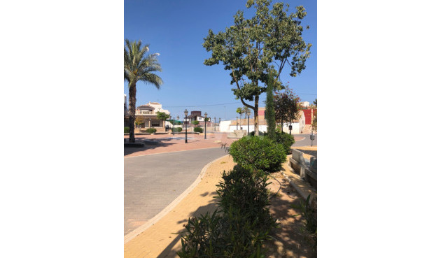 Wiederverkauf - Property - San Miguel de Salinas - Inland