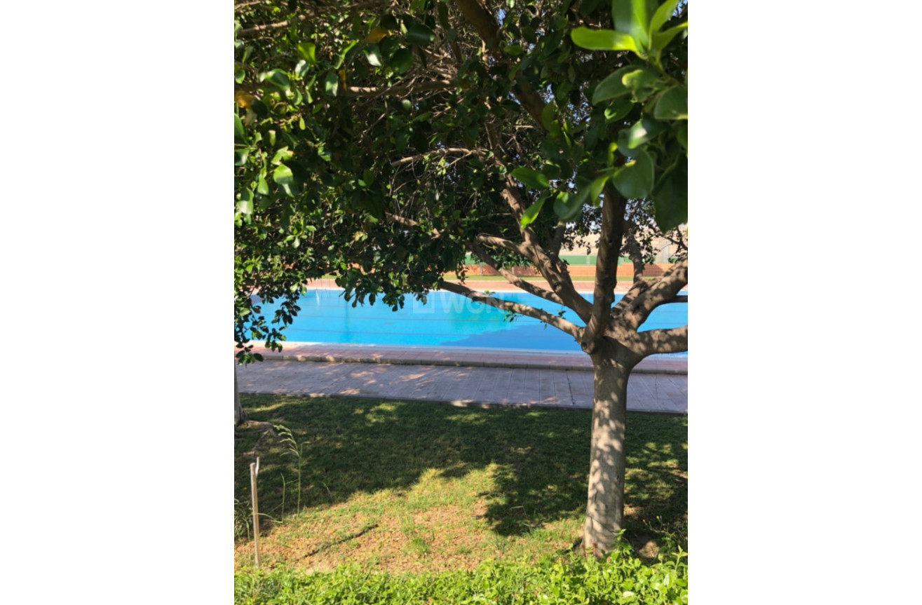 Wiederverkauf - Property - San Miguel de Salinas - Inland