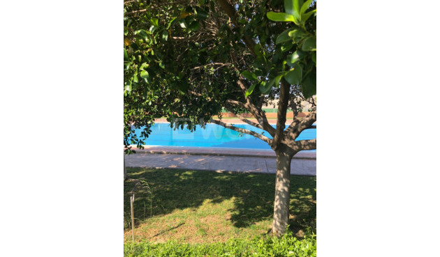 Wiederverkauf - Property - San Miguel de Salinas - Inland