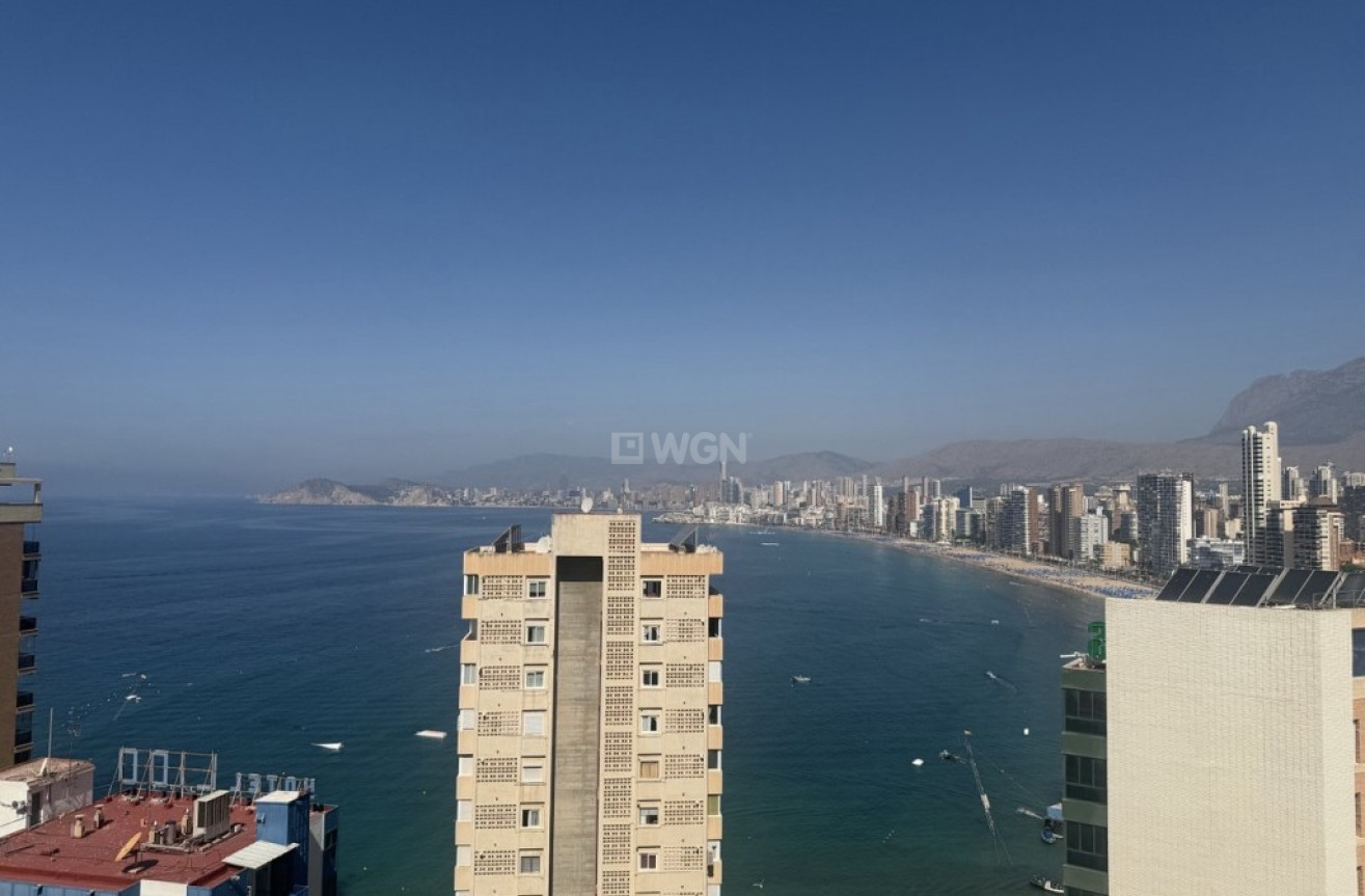 Reventa - Apartamento / piso - Benidorm - Costa Blanca