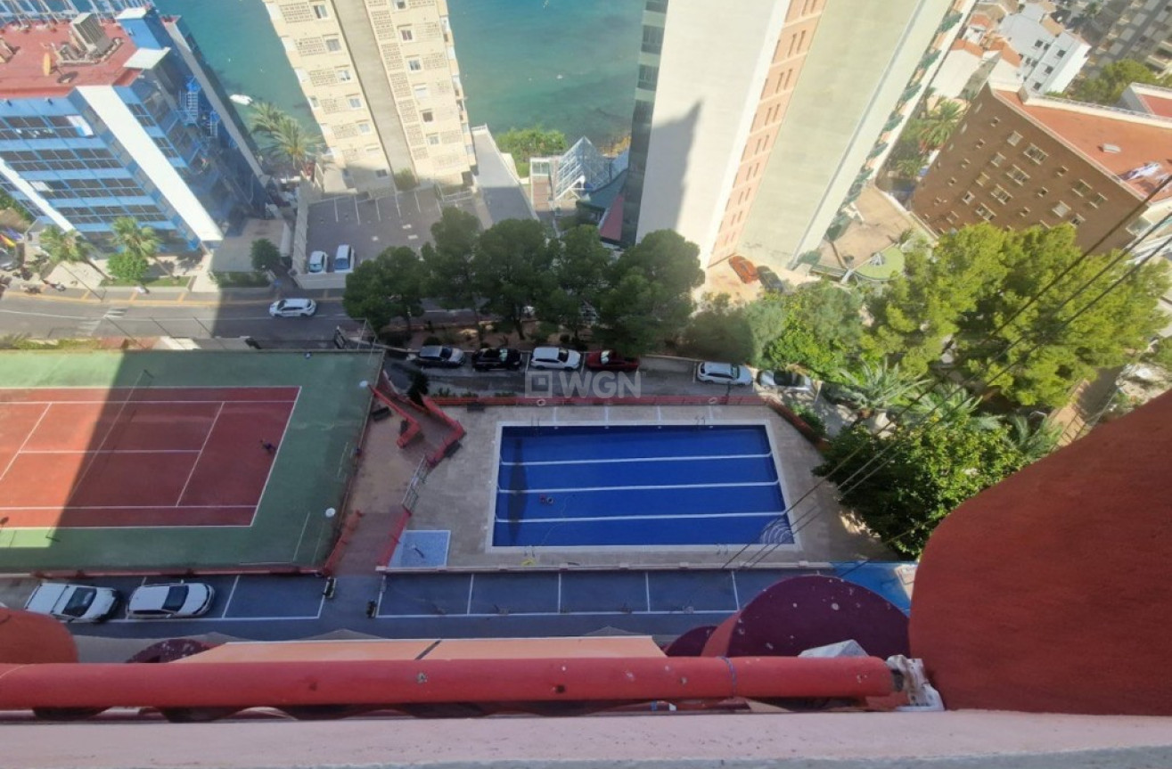 Reventa - Apartamento / piso - Benidorm - Costa Blanca