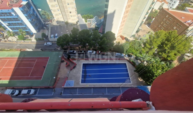 Reventa - Apartamento / piso - Benidorm - Costa Blanca