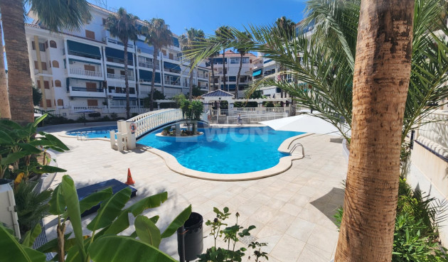 Resale - Apartment / flat - La Mata - Costa Blanca