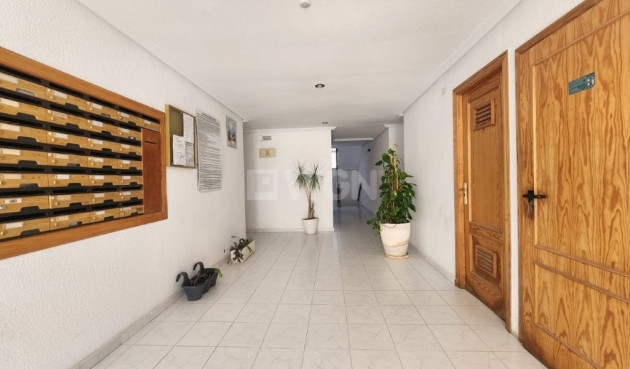 Resale - Apartment / flat - La Mata - Costa Blanca