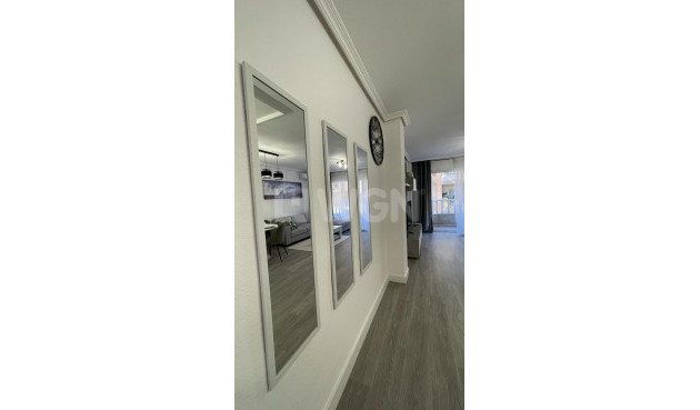 Odsprzedaż - Mieszkanie w bloku - Torrevieja