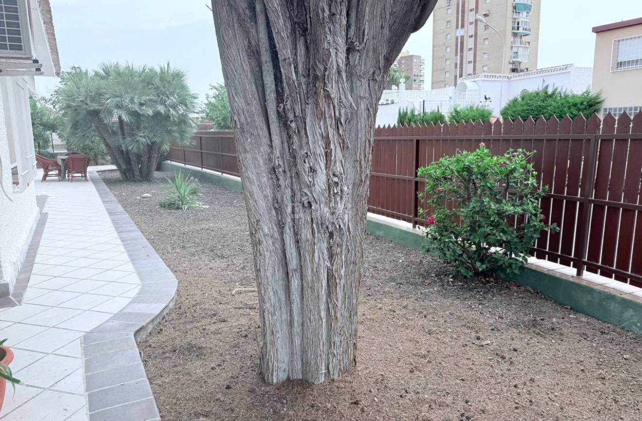 Wiederverkauf - Villa - Orihuela Costa - Campoamor