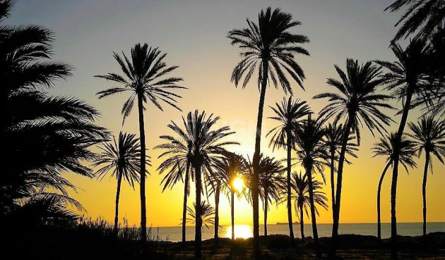 Resale - Apartment / flat - Torrevieja - Centro