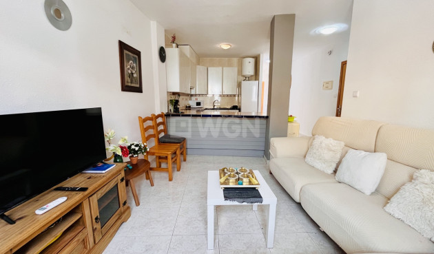 Resale - Commercial - San Miguel de Salinas - Inland