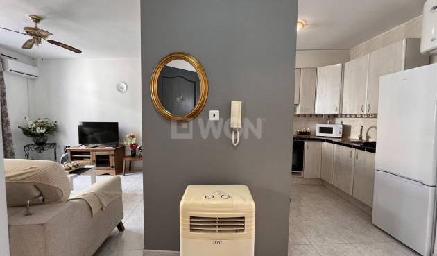 Resale - Commercial - San Miguel de Salinas - Inland