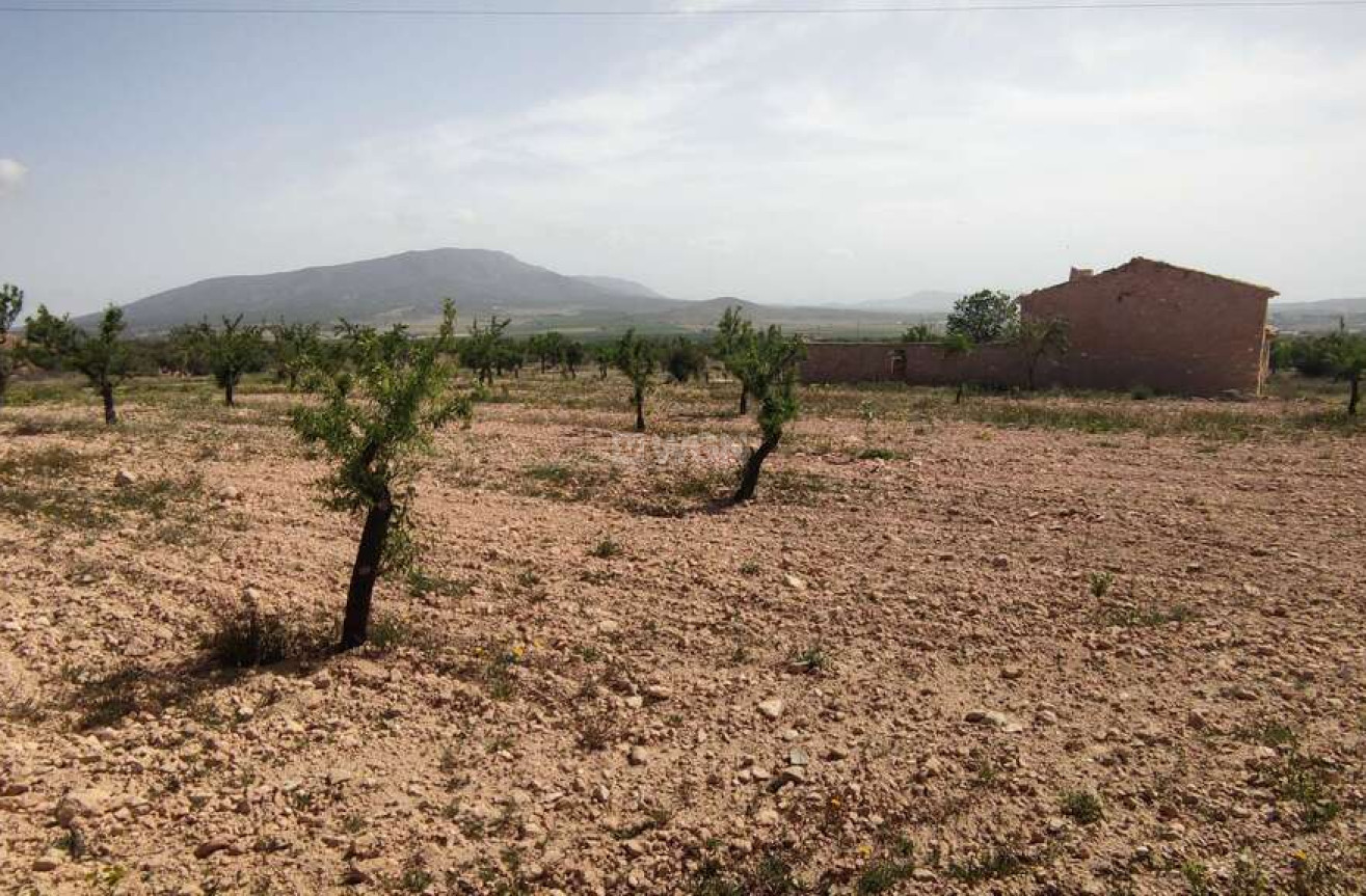 Wiederverkauf - Villa - Pinoso - Inland