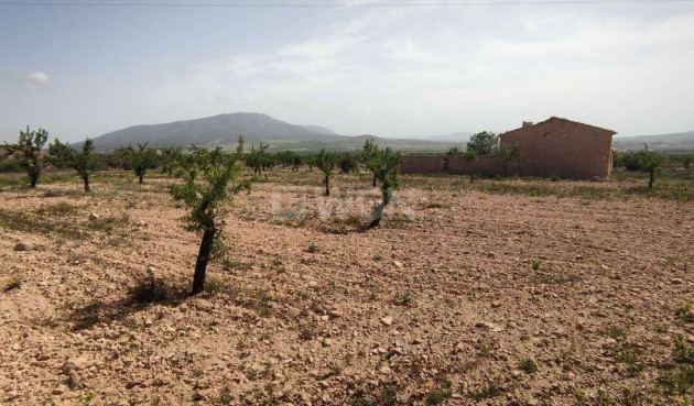 Wiederverkauf - Villa - Pinoso - Inland