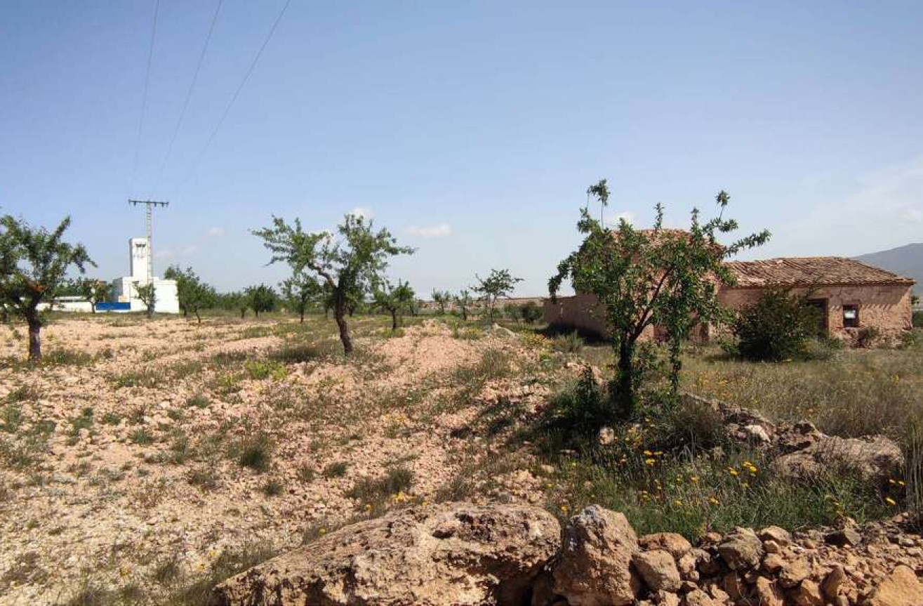 Wiederverkauf - Villa - Pinoso - Inland