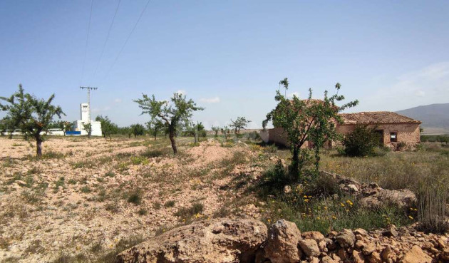 Wiederverkauf - Villa - Pinoso - Inland