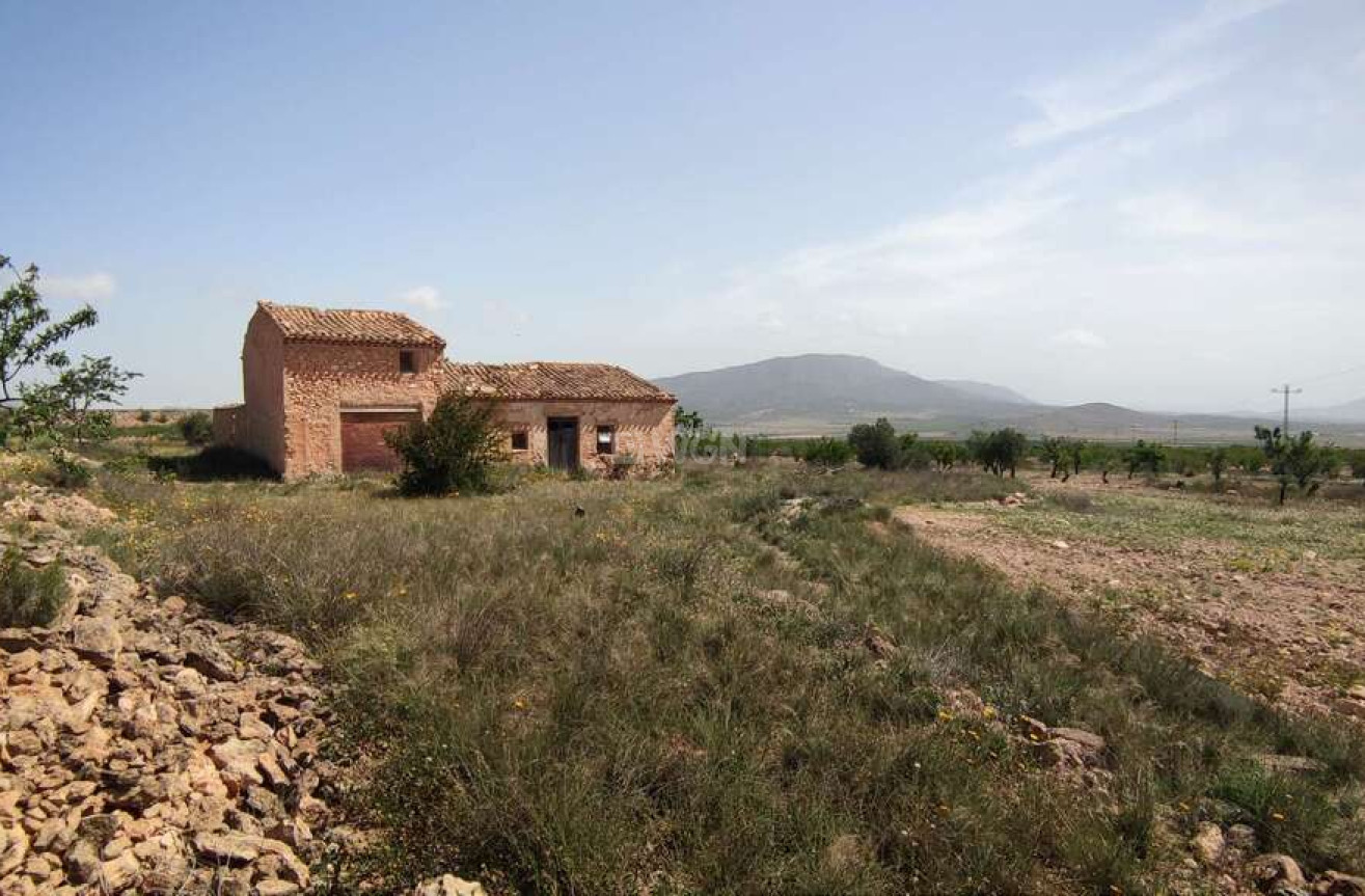 Wiederverkauf - Villa - Pinoso - Inland