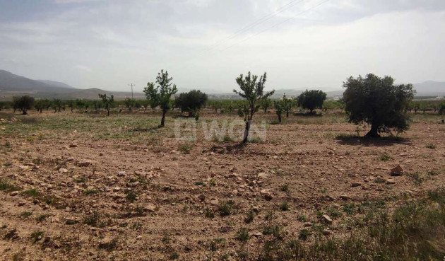 Wiederverkauf - Villa - Pinoso - Inland