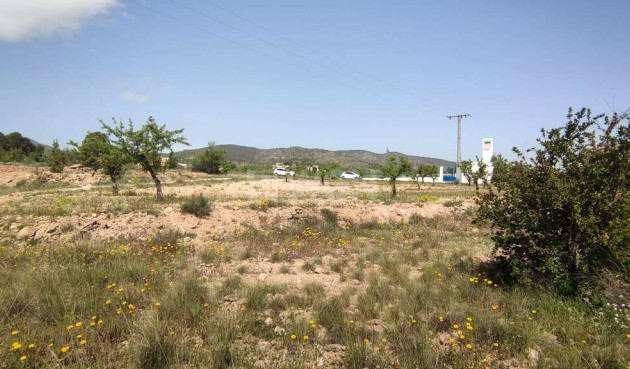 Wiederverkauf - Villa - Pinoso - Inland