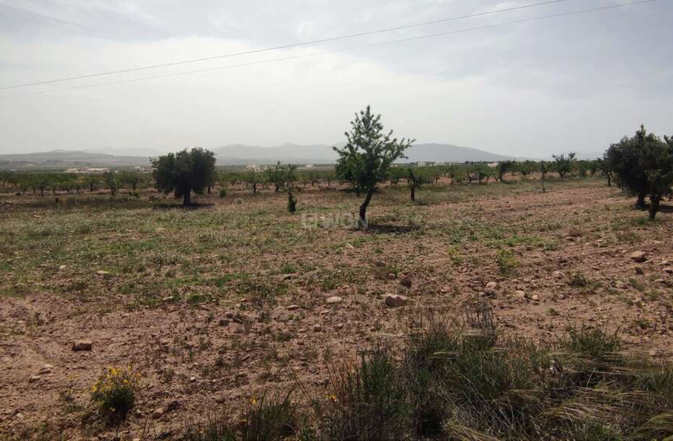 Wiederverkauf - Villa - Pinoso - Inland