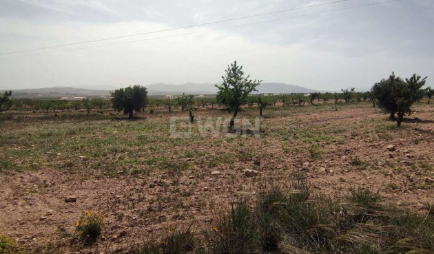 Wiederverkauf - Villa - Pinoso - Inland