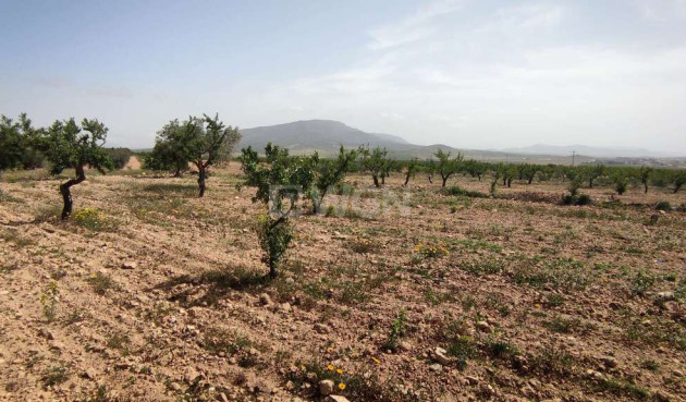 Wiederverkauf - Villa - Pinoso - Inland