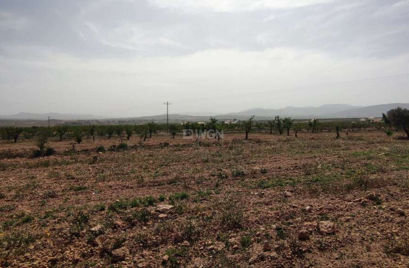 Wiederverkauf - Villa - Pinoso - Inland