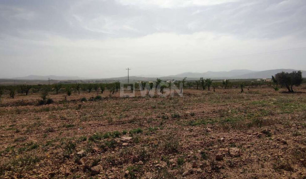 Wiederverkauf - Villa - Pinoso - Inland