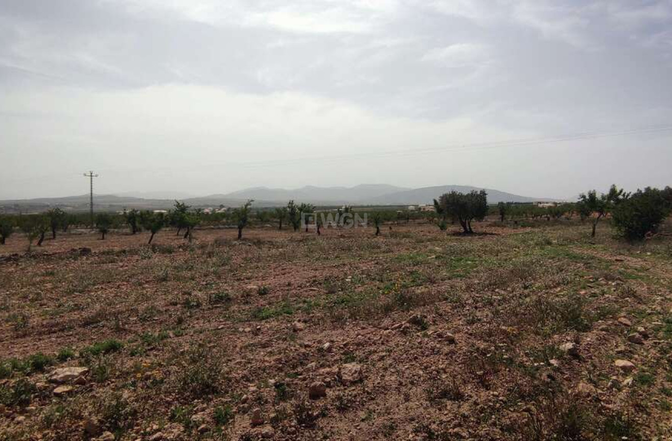 Wiederverkauf - Villa - Pinoso - Inland