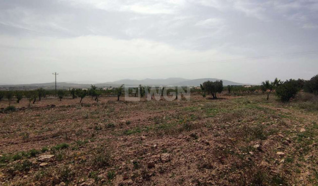 Wiederverkauf - Villa - Pinoso - Inland