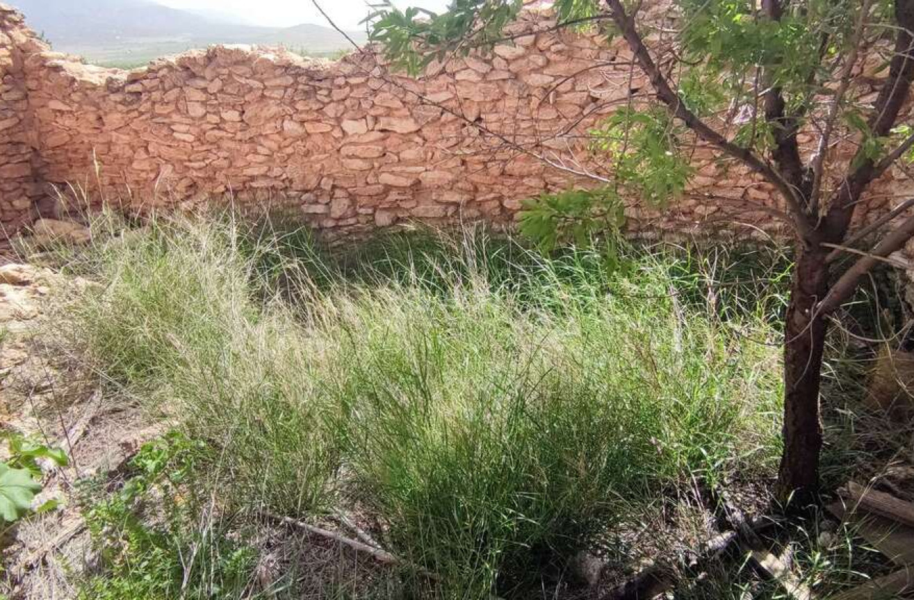 Wiederverkauf - Villa - Pinoso - Inland