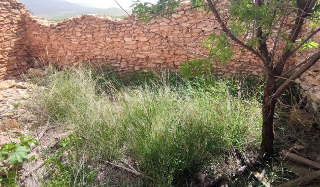 Wiederverkauf - Villa - Pinoso - Inland