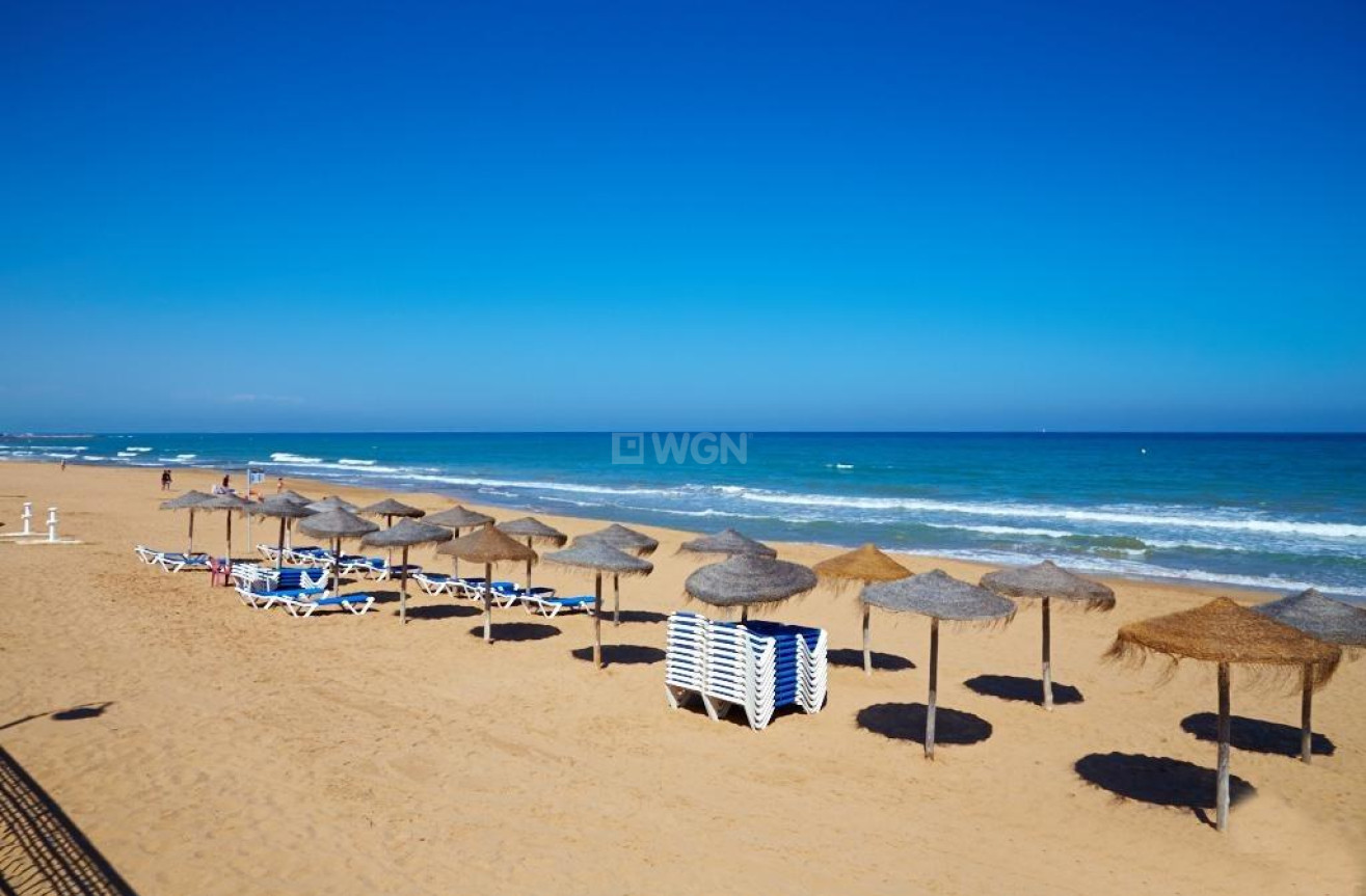 Reventa - Bungalow - Torrevieja - Torreblanca