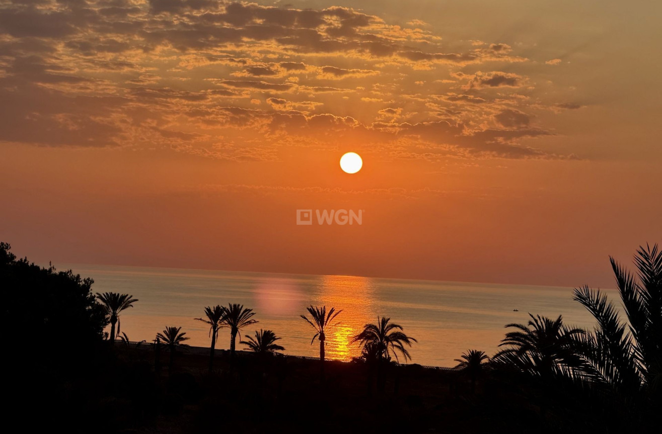 Odsprzedaż - Daszek - San Miguel de Salinas - Inland