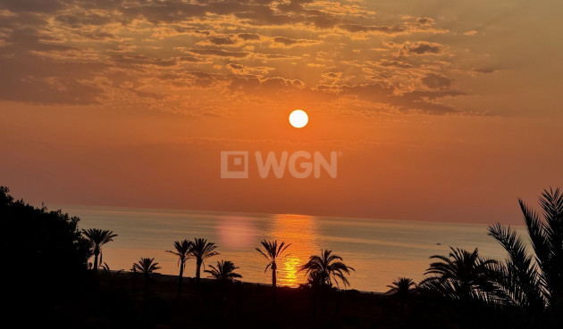 Odsprzedaż - Daszek - San Miguel de Salinas - Inland