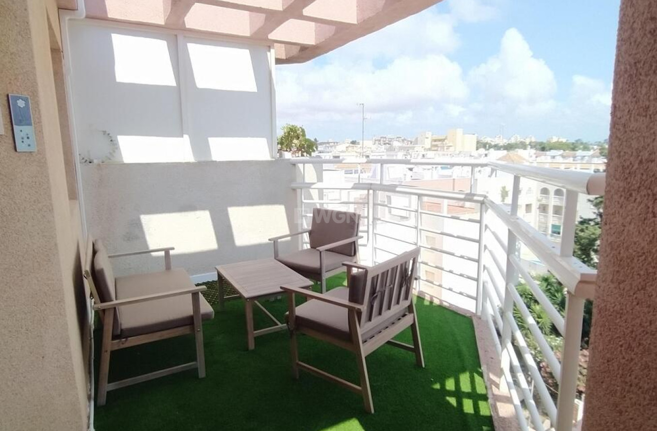 Odsprzedaż - Daszek - Torrevieja - Habaneras