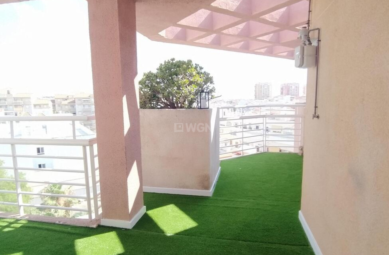 Odsprzedaż - Daszek - Torrevieja - Habaneras