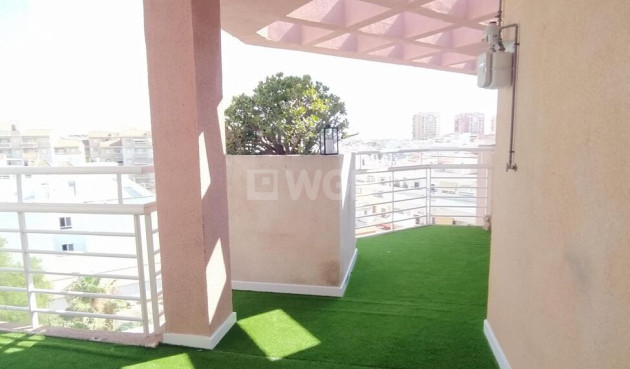 Odsprzedaż - Daszek - Torrevieja - Habaneras