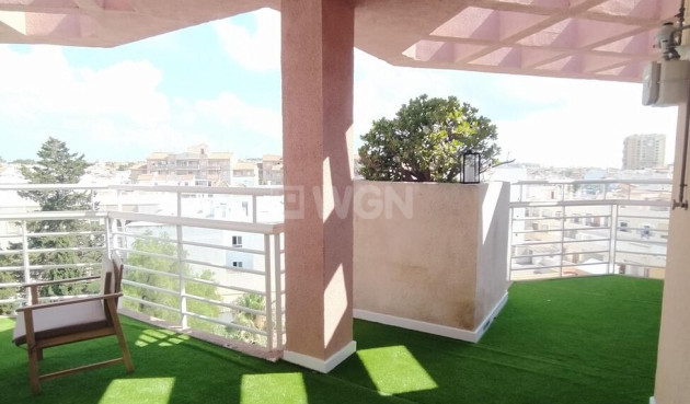 Odsprzedaż - Daszek - Torrevieja - Habaneras