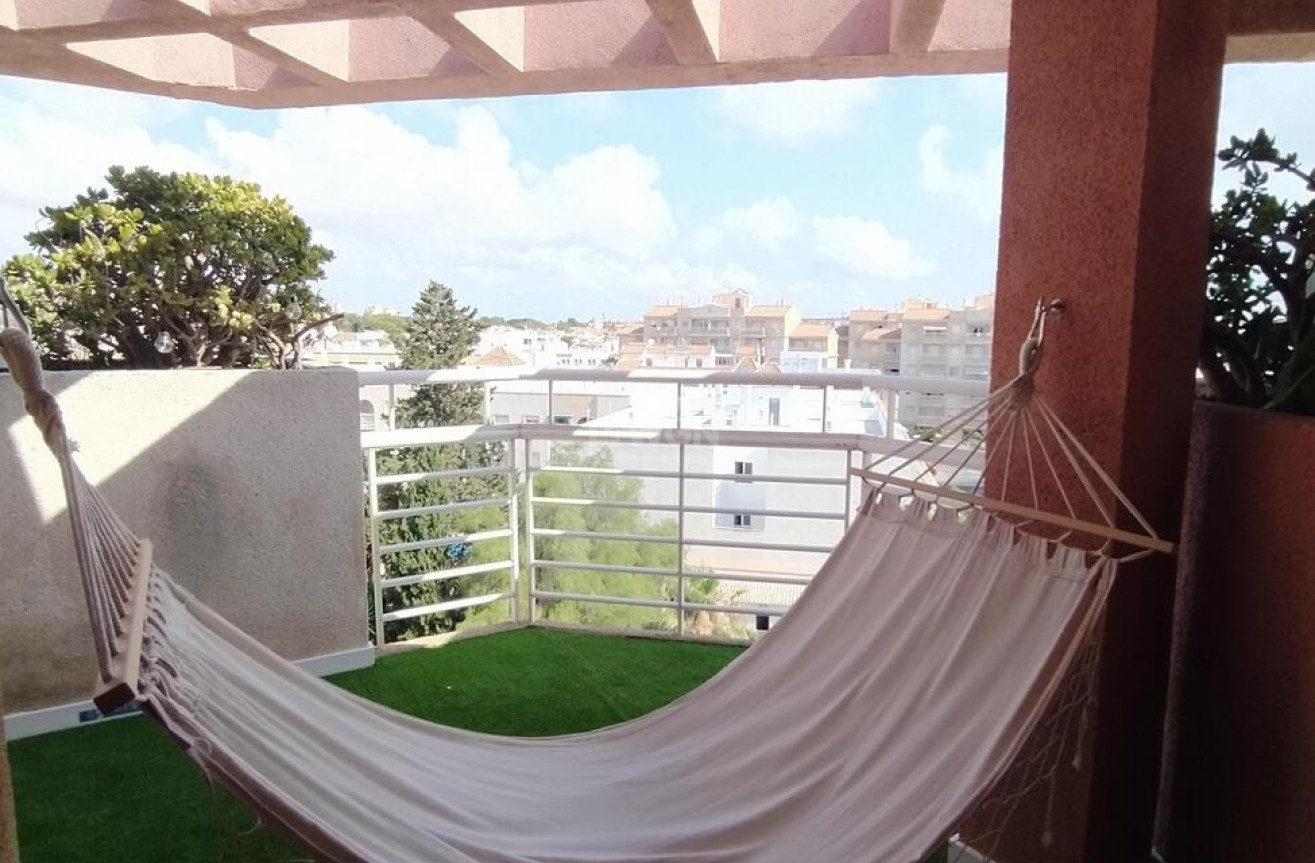 Odsprzedaż - Daszek - Torrevieja - Habaneras