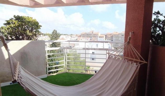 Odsprzedaż - Daszek - Torrevieja - Habaneras