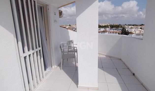 Odsprzedaż - Daszek - Torrevieja - Habaneras