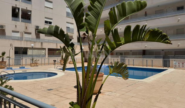Reventa - Apartamento / piso - Almoradí - Inland