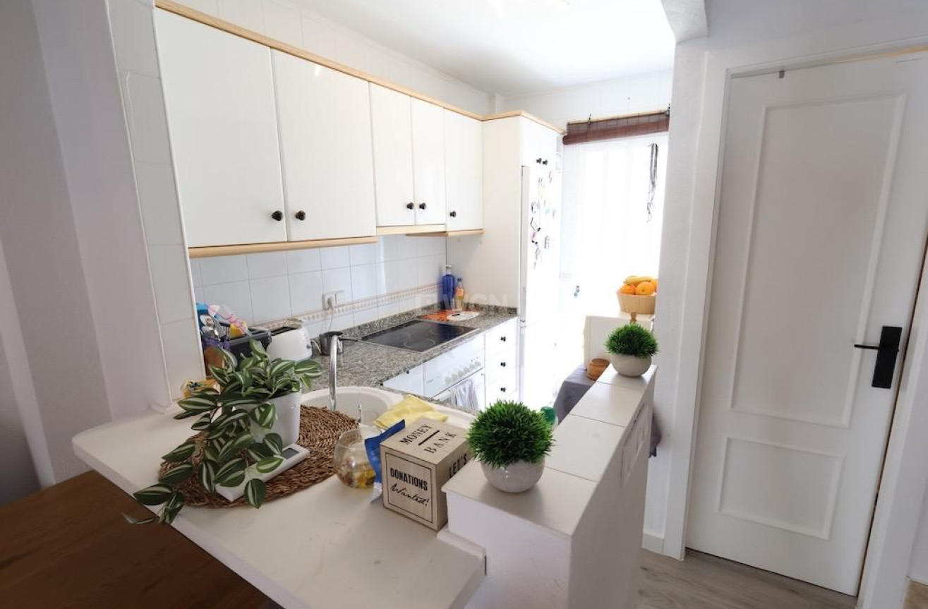 Resale - Duplex - Pilar de la Horadada - Costa Blanca