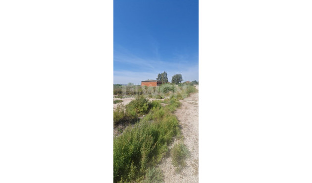 Resale - Plot / Land - La Hoya - La Hoya-daimes-el Derramador