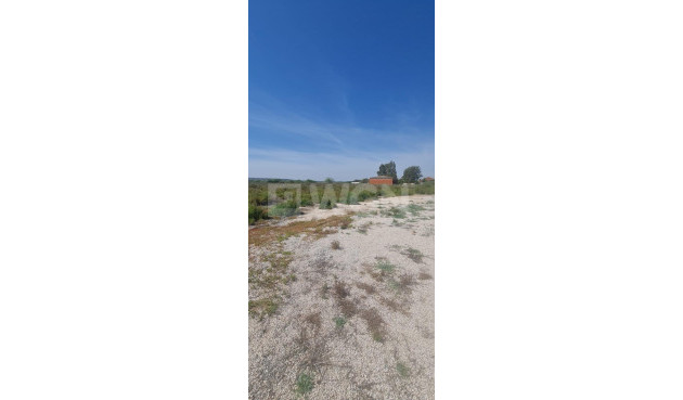 Resale - Plot / Land - La Hoya - La Hoya-daimes-el Derramador