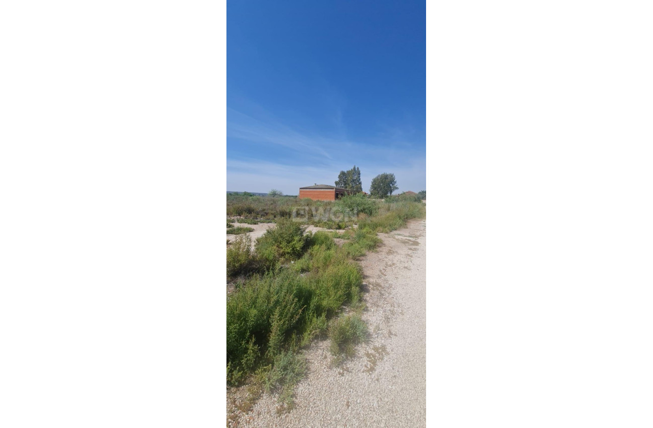 Resale - Plot / Land - La Hoya - La Hoya-daimes-el Derramador